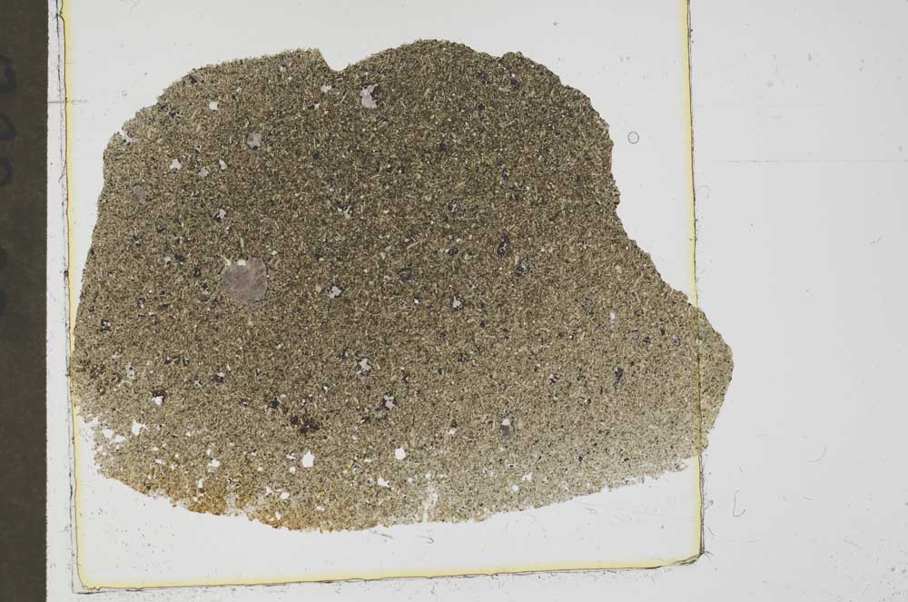 Plane Polarized, S37425