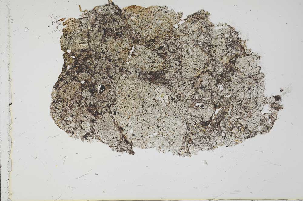 Plane Polarized, S37426