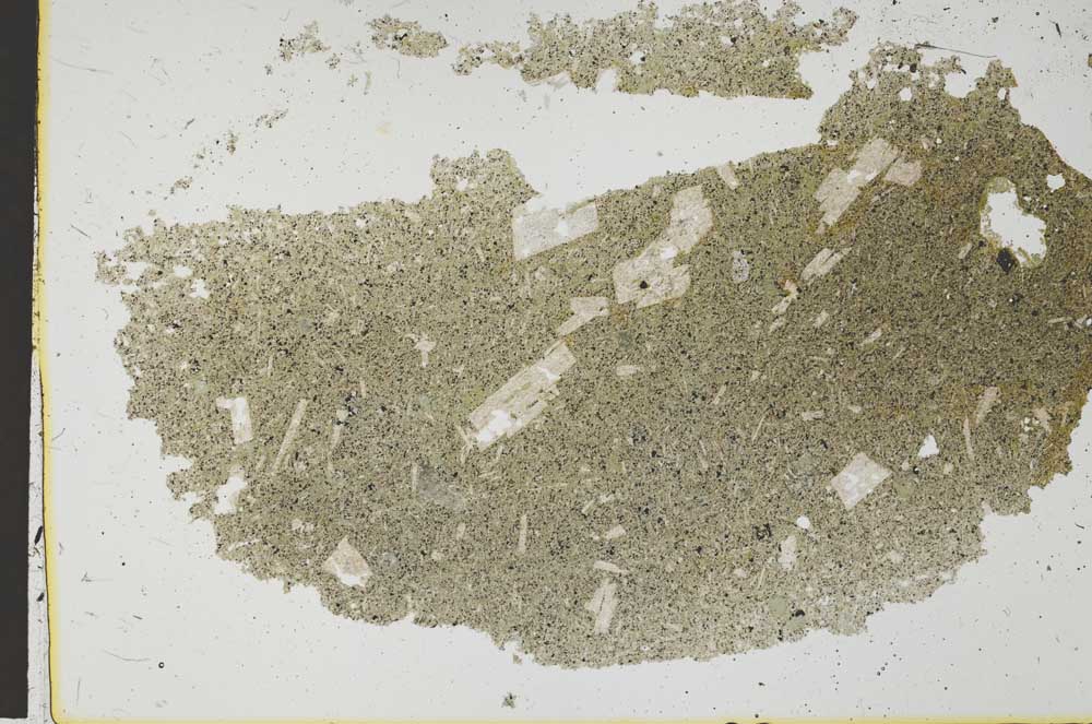 Plane Polarized, S37427