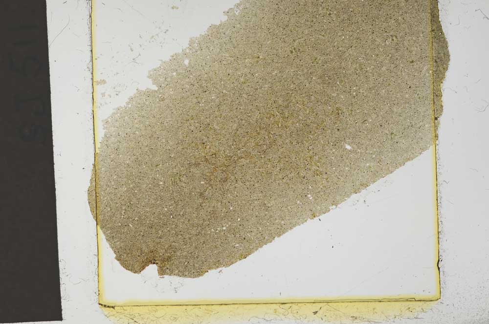 Plane Polarized, S37428