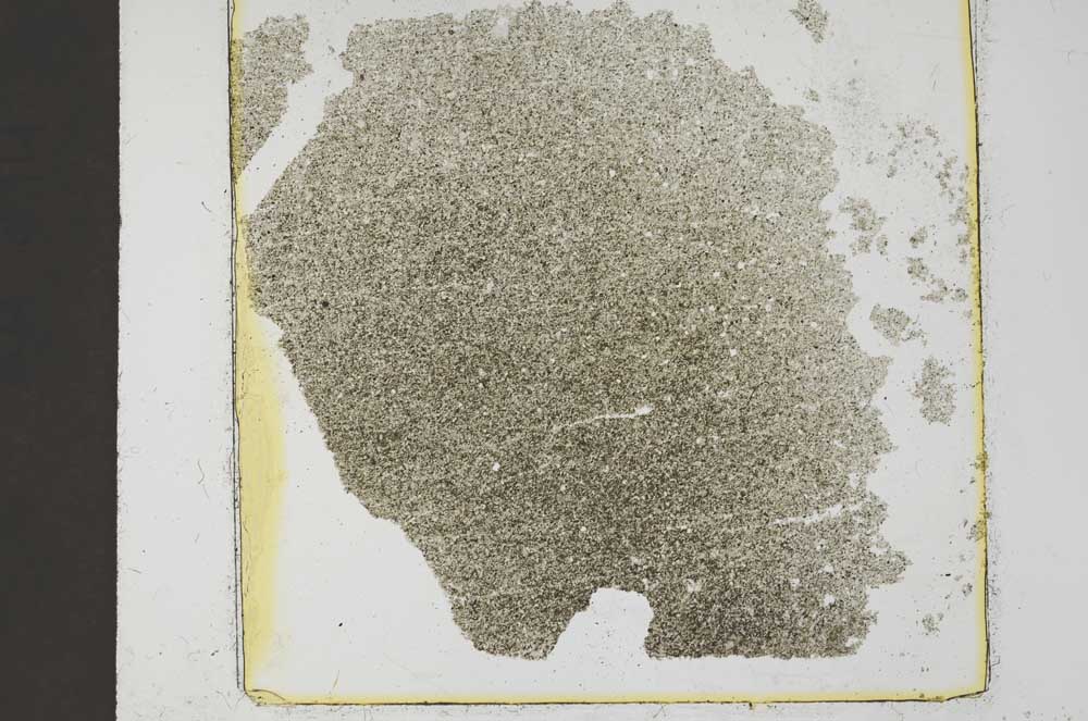 Plane Polarized, S37430