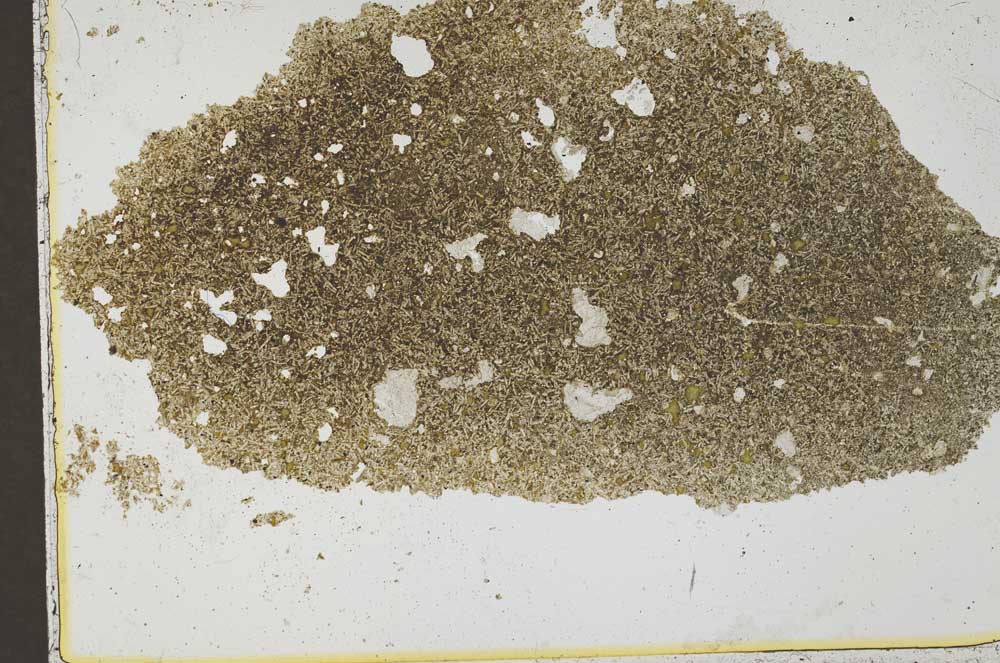 Plane Polarized, S37431