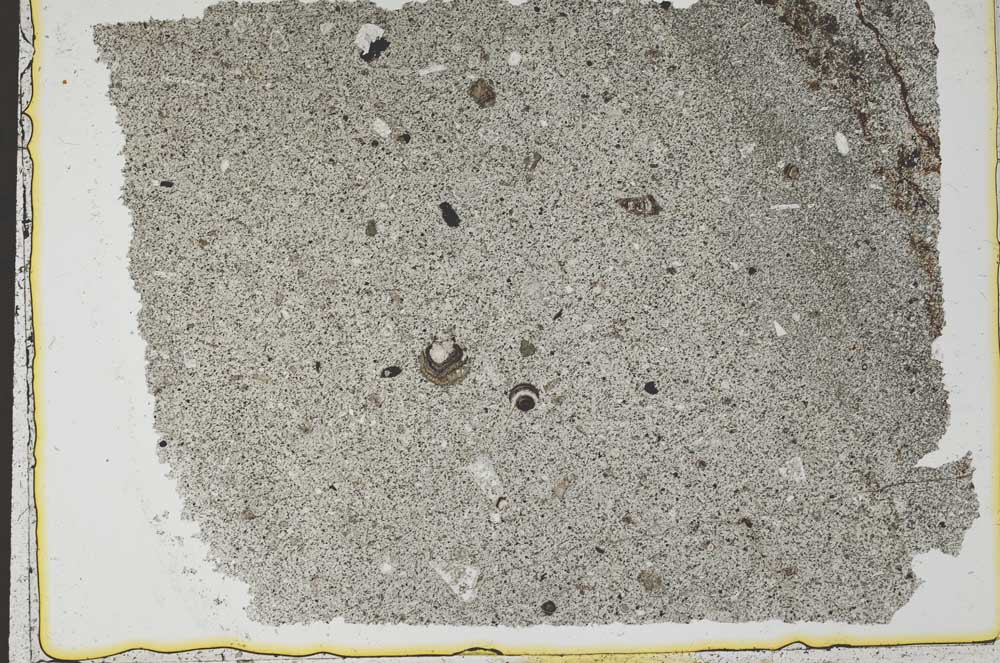 Plane Polarized, S37432