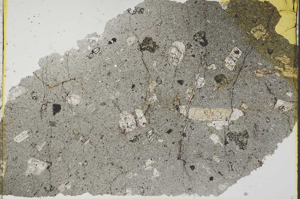 Plane Polarized, S37433