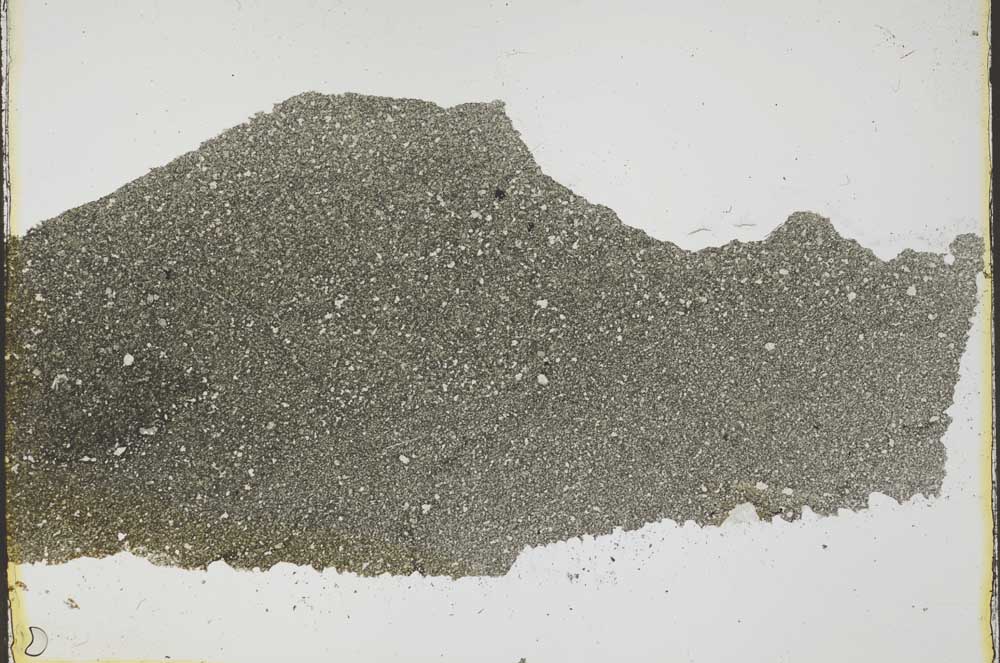 Plane Polarized, S37434