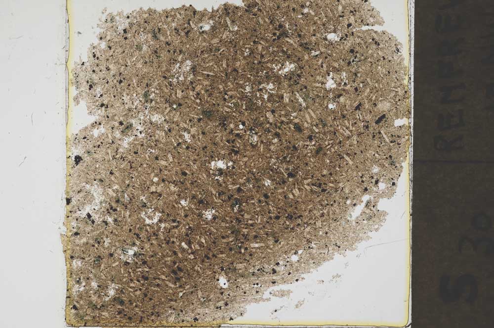 Plane Polarized, S37435