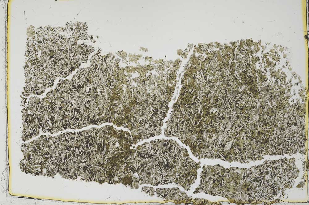 Plane Polarized, S37436