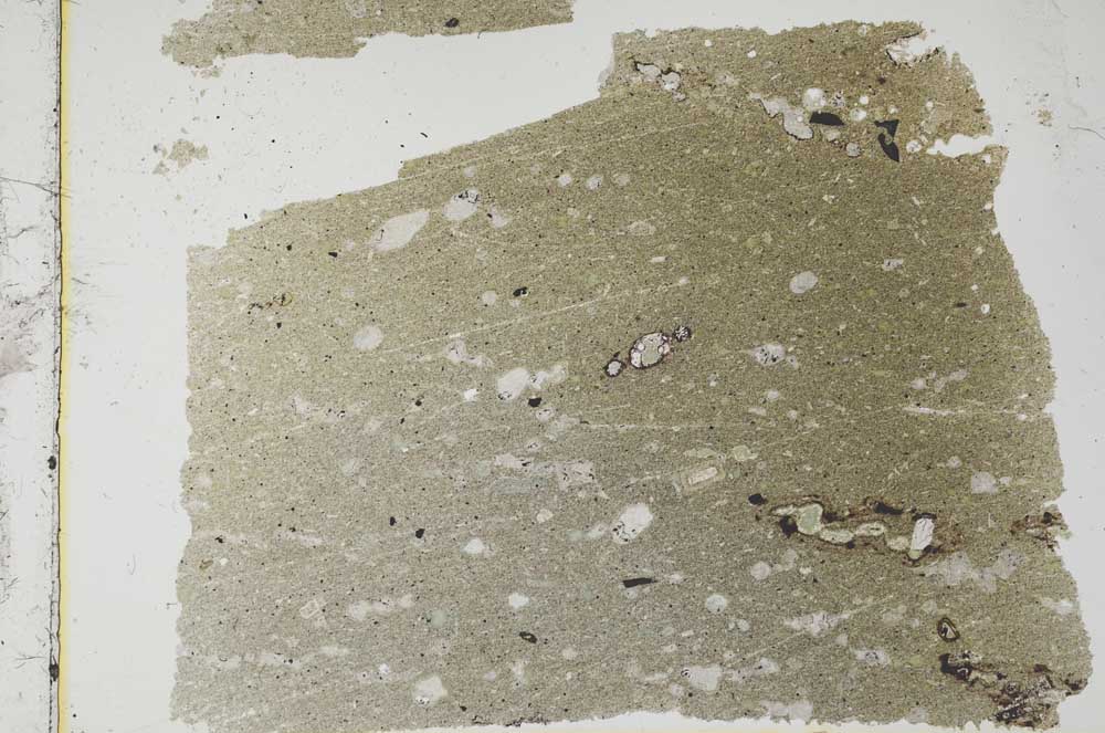 Plane Polarized, S37437