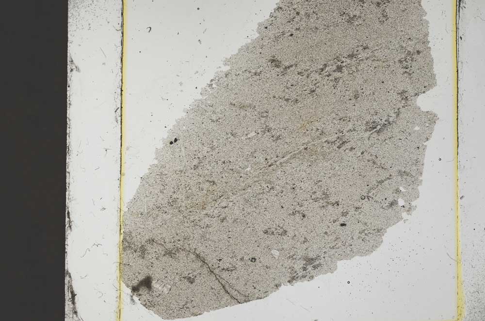 Plane Polarized, S37440