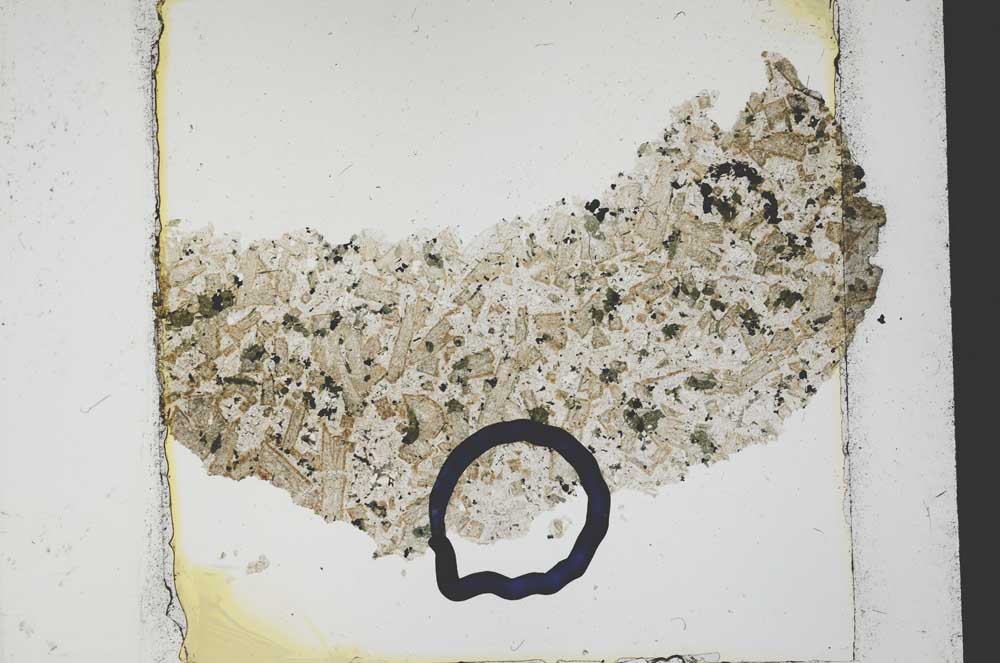 Plane Polarized, S37448
