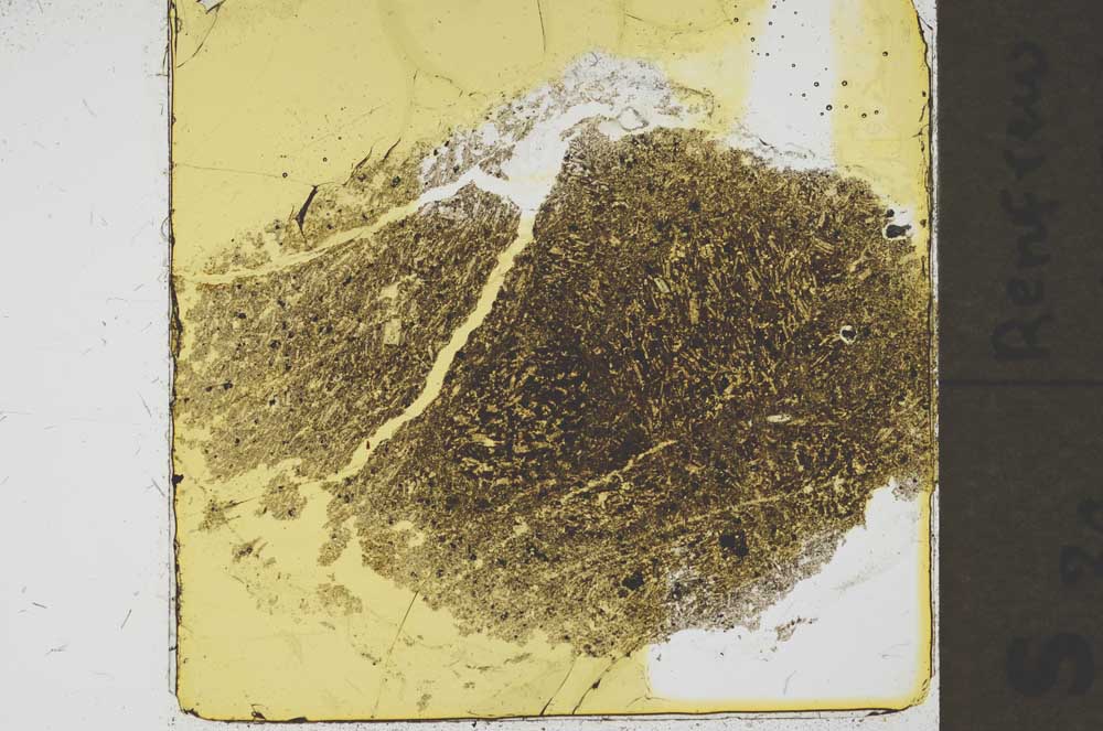 Plane Polarized, S37455