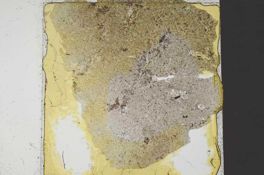 Plane Polarized, S37465