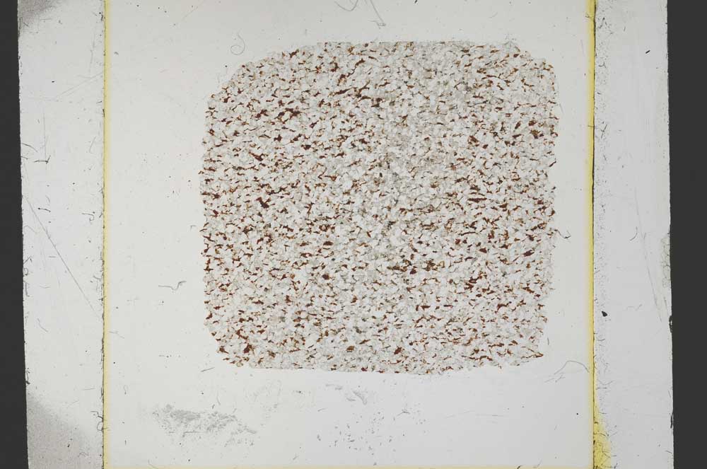 Plane Polarized, S37575