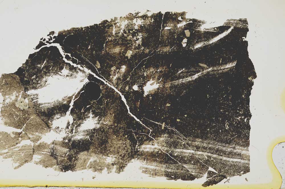 Plane Polarized, S37615