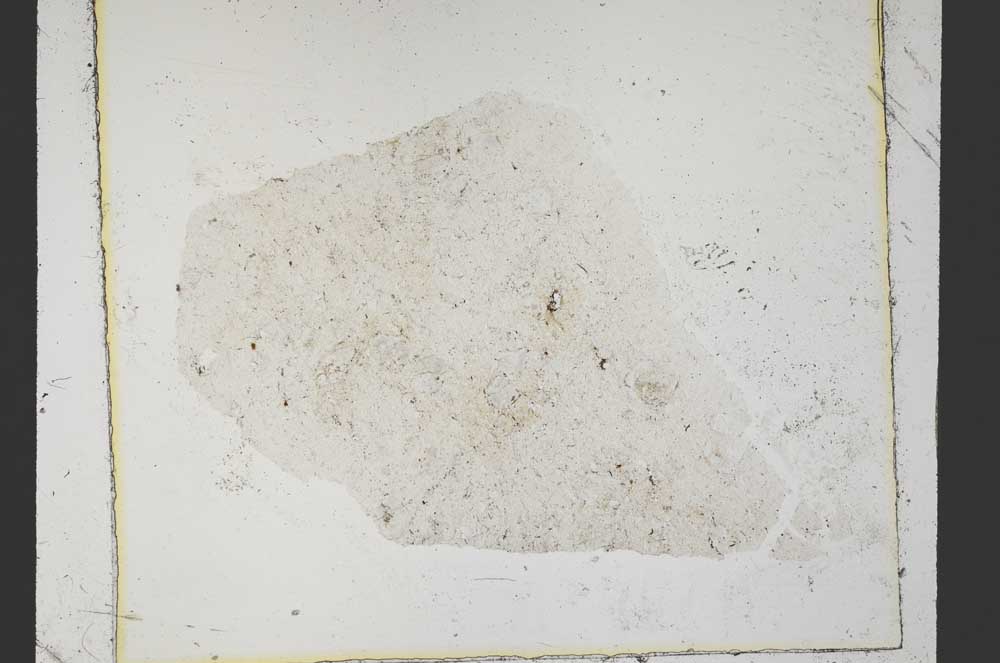 Plane Polarized, S37663