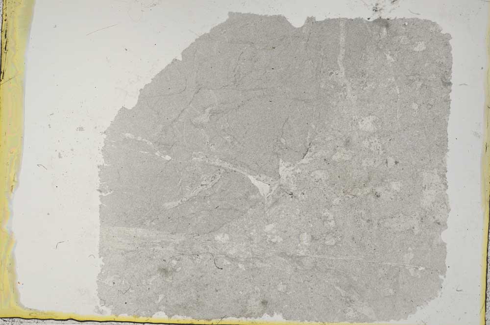 Plane Polarized, S37687