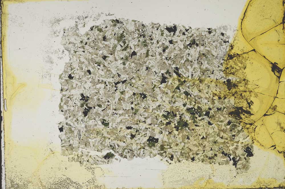 Plane Polarized, S37757