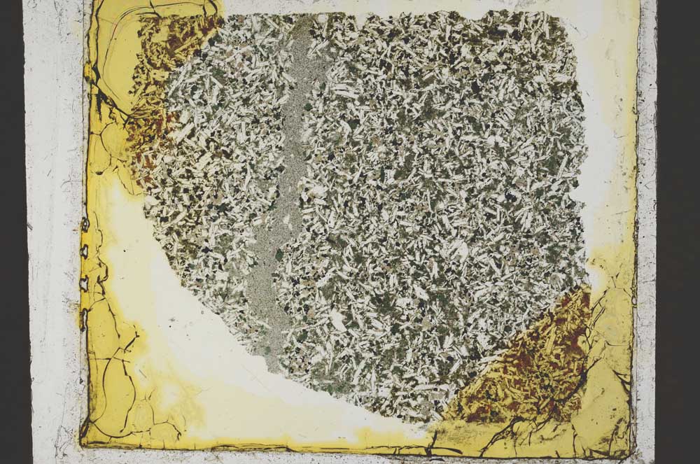 Plane Polarized, S37761