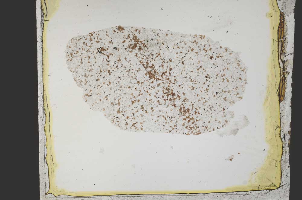 Plane Polarized, S37763