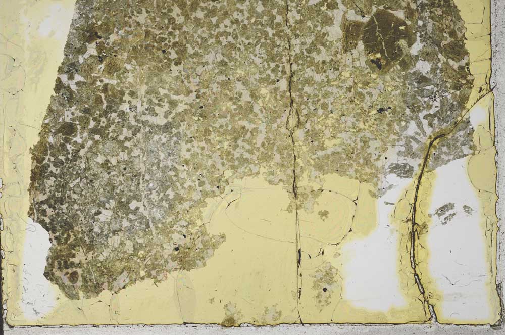 Plane Polarized, S37770