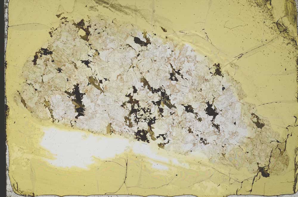 Plane Polarized, S37787