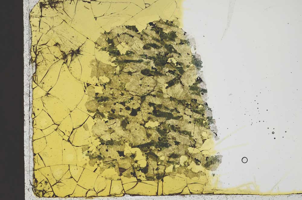 Plane Polarized, S37789