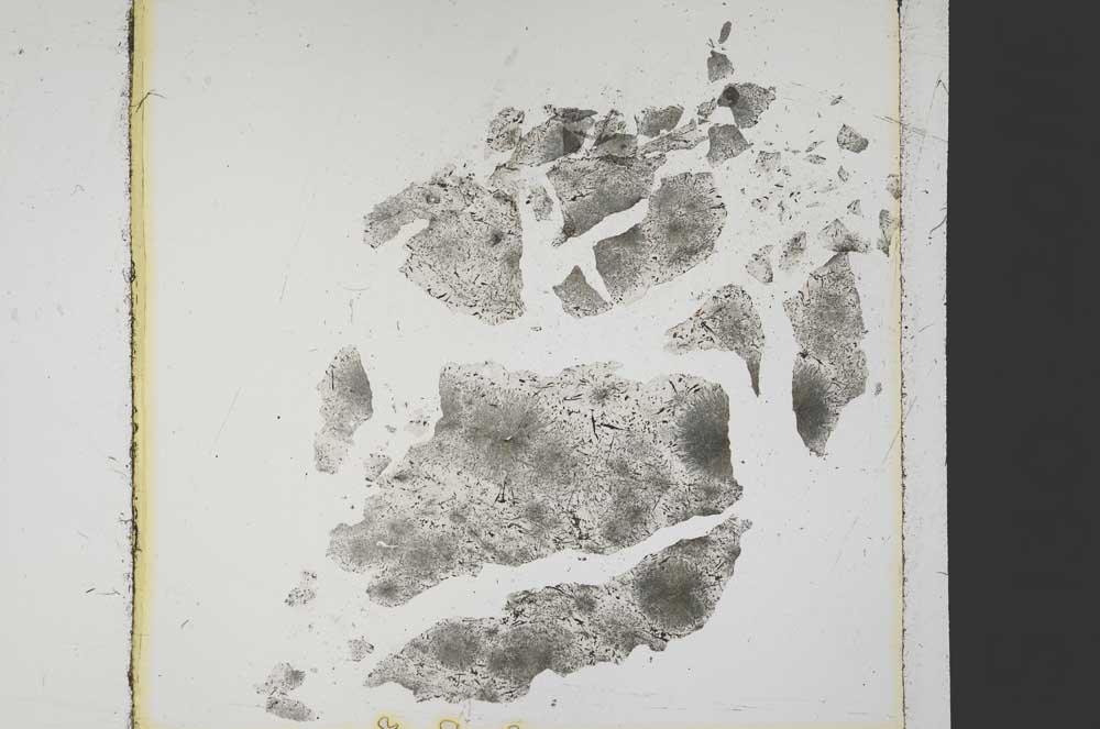 Plane Polarized, S37821