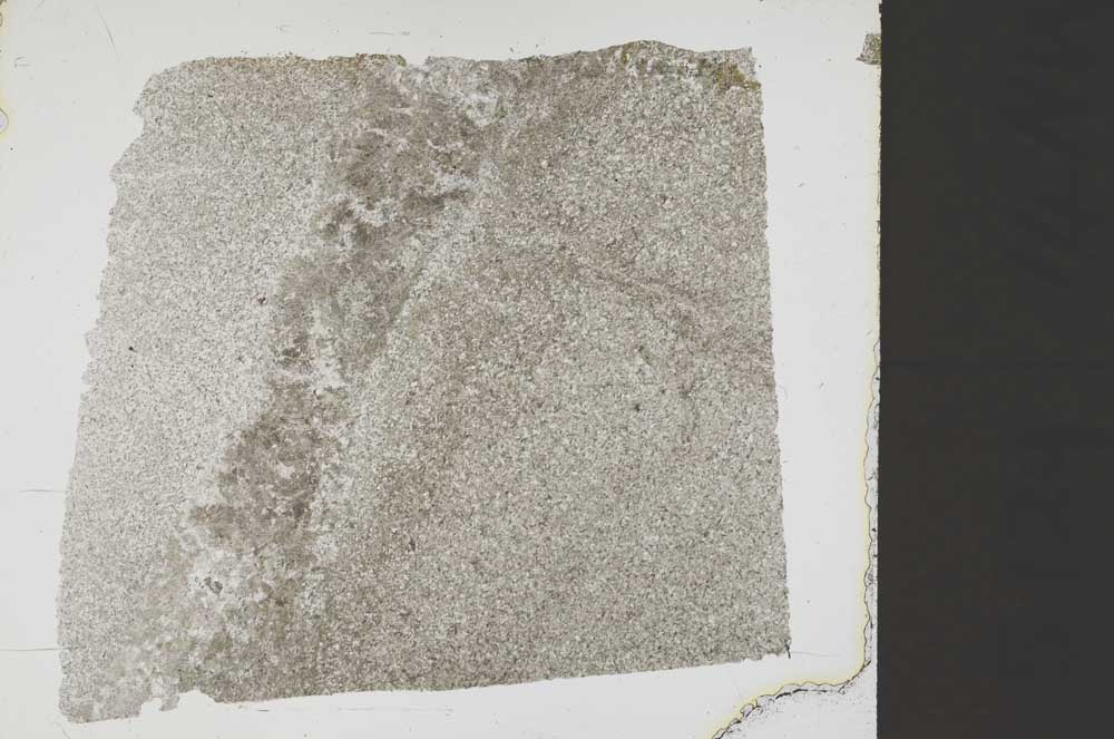 Plane Polarized, S37837