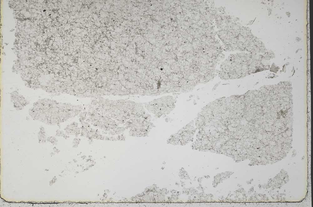 Plane Polarized, S37838