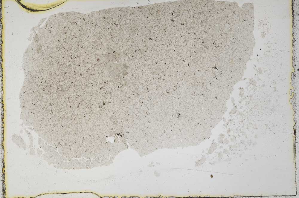 Plane Polarized, S37842