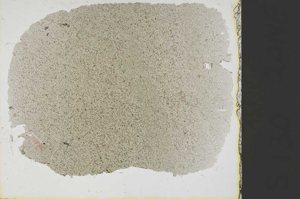 Plane Polarized, S37856