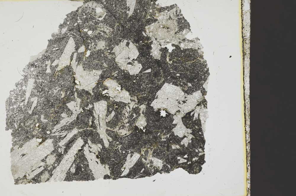 Plane Polarized, S37859