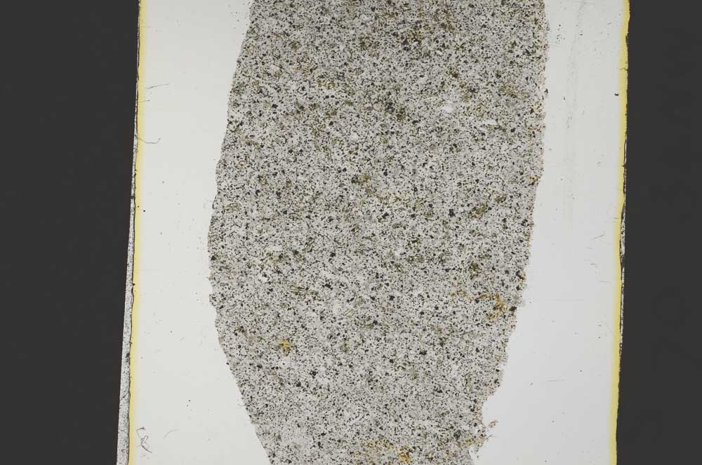 Plane Polarized, S37939