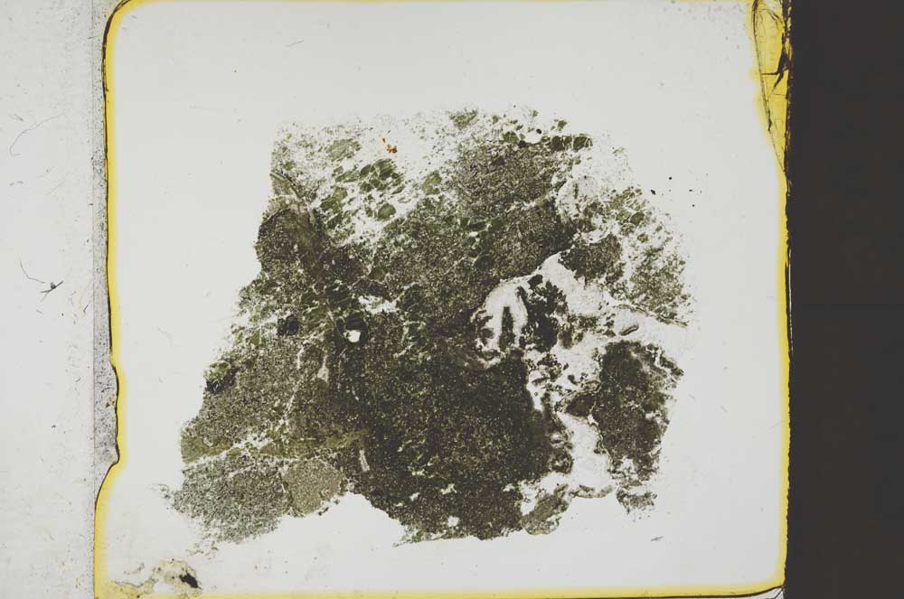 Plane Polarized, S37955