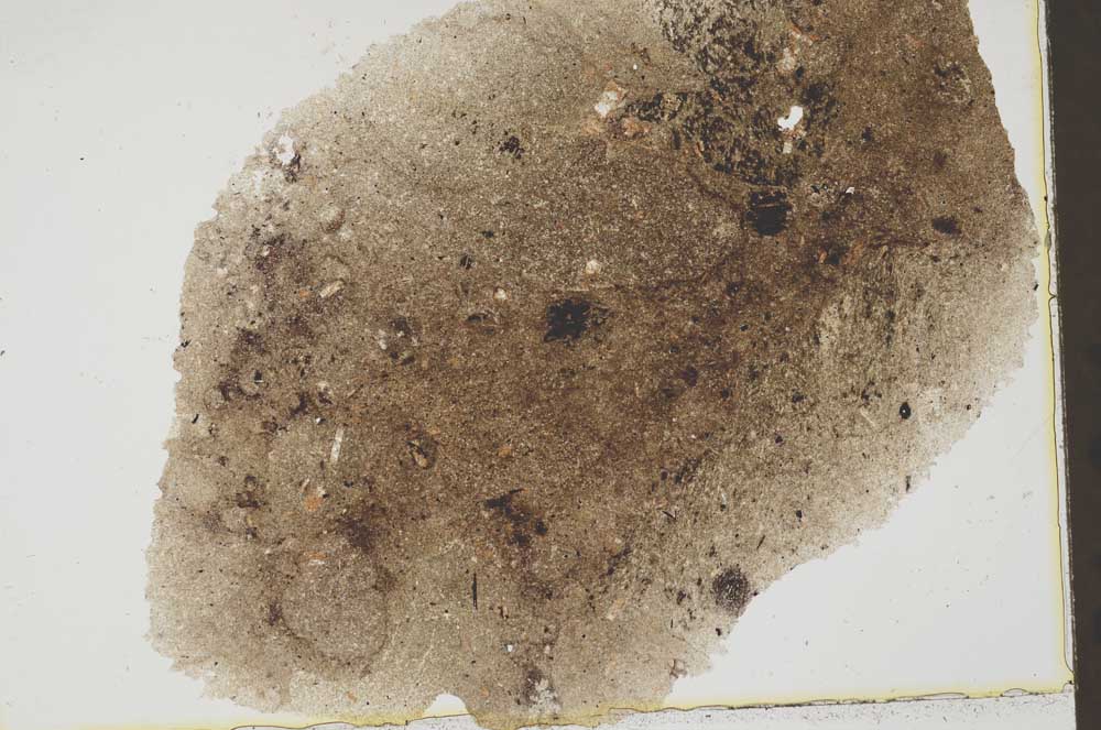 Plane Polarized, S38112