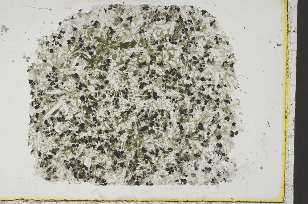 Plane Polarized, S38213