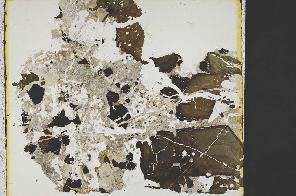 Plane Polarized, S38423