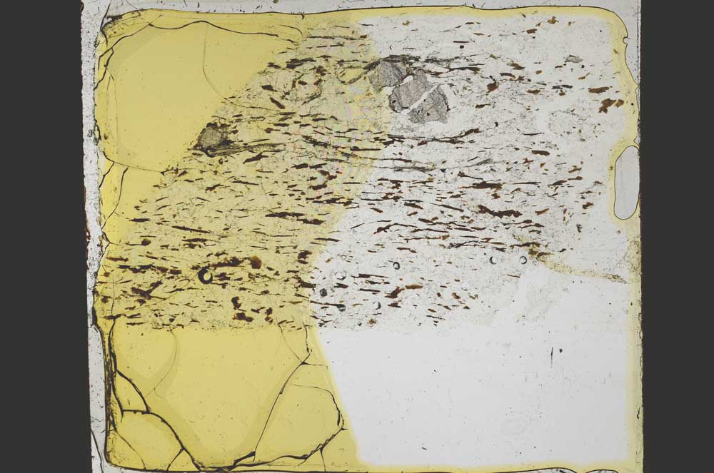 Plane Polarized, S38425