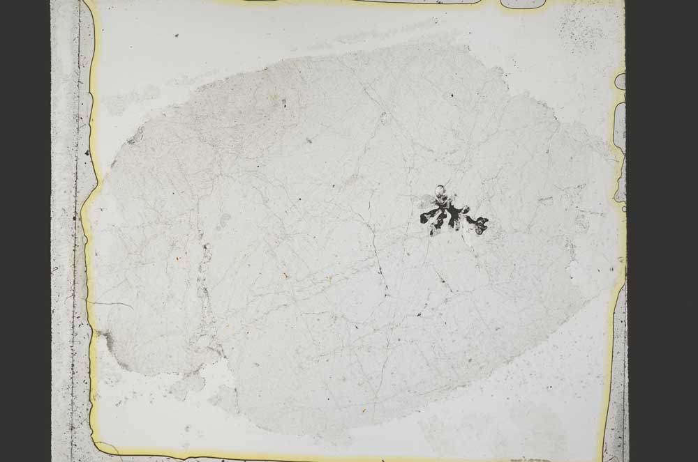 Plane Polarized, S38428