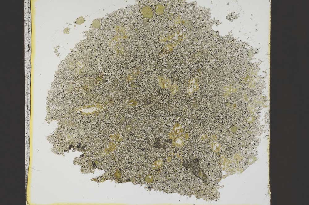 Plane Polarized, S38438