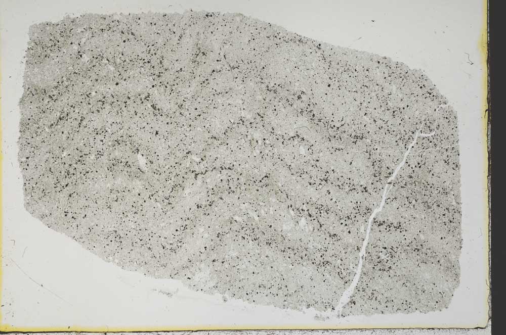 Plane Polarized, S38499