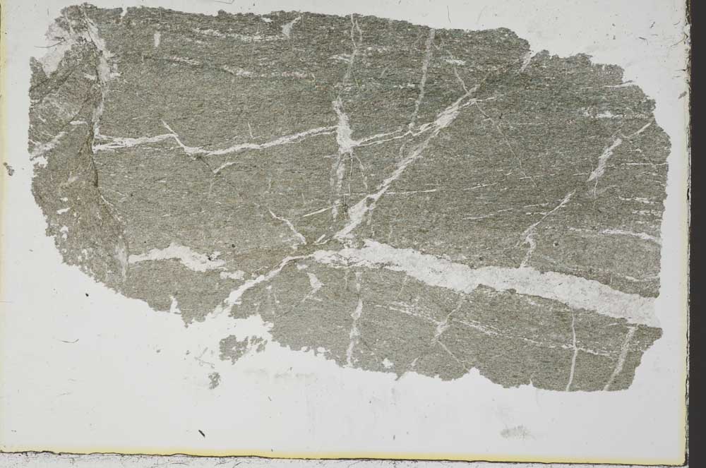 Plane Polarized, S38515