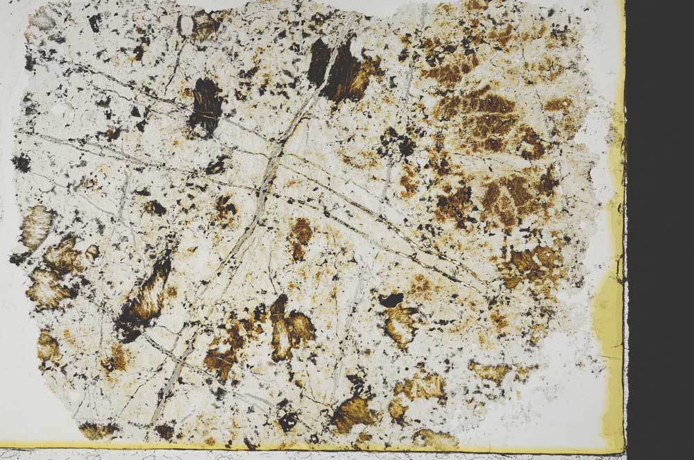 Plane Polarized, S38527