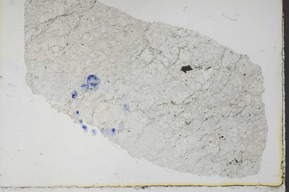 Plane Polarized, S38528