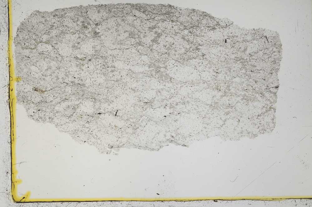 Plane Polarized, S38533