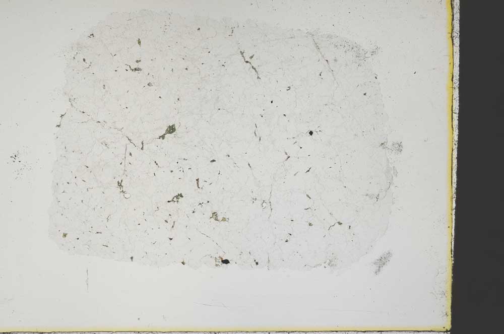 Plane Polarized, S38536