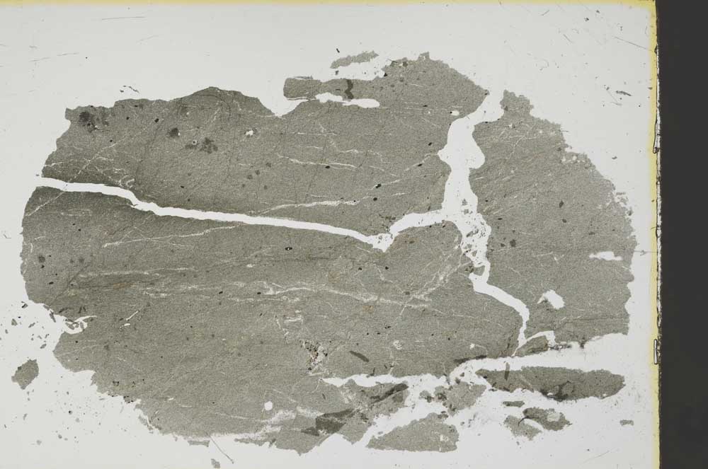 Plane Polarized, S38537