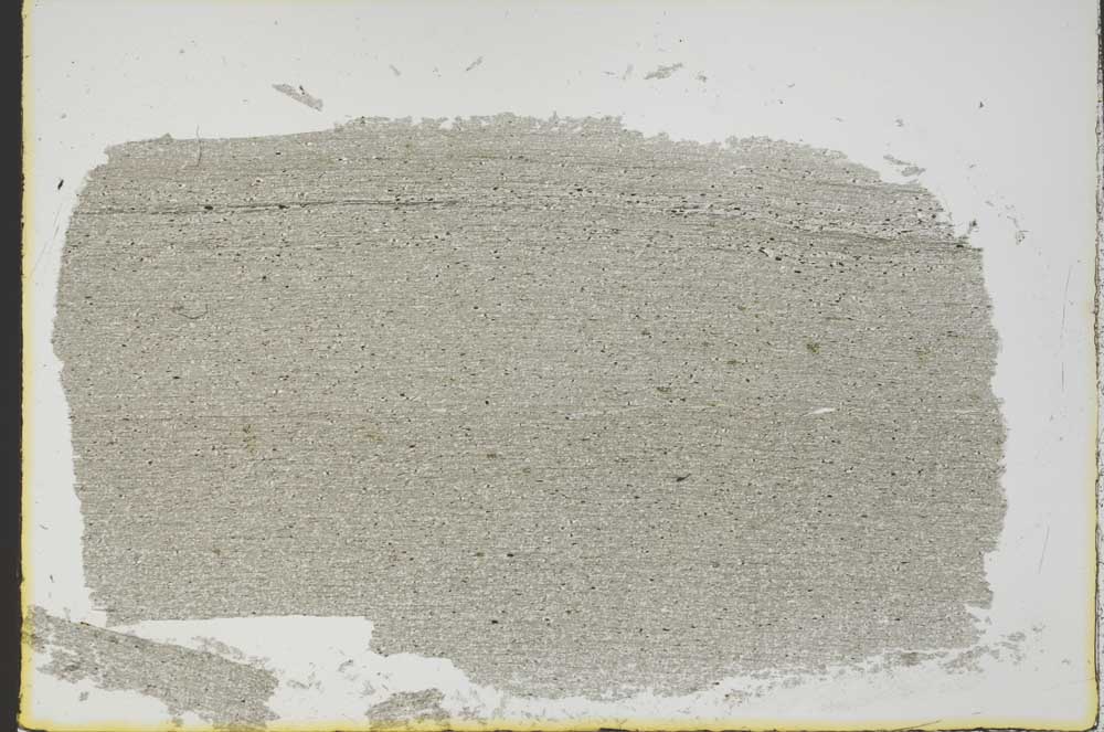 Plane Polarized, S38540