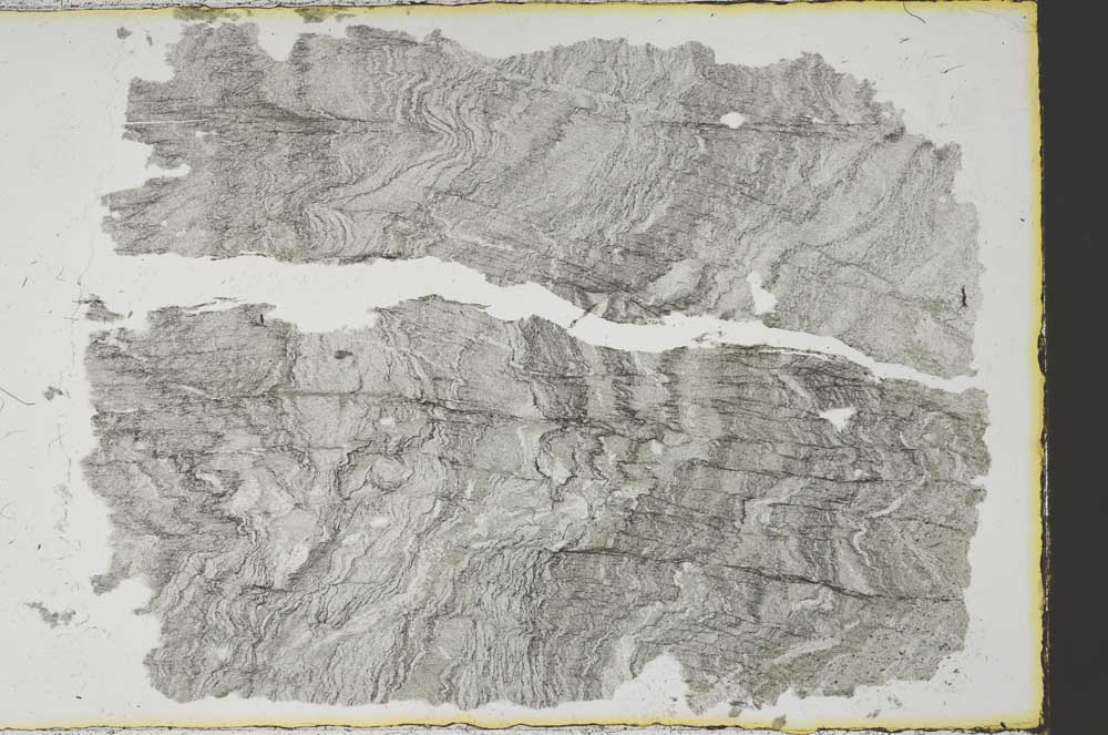 Plane Polarized, S38541