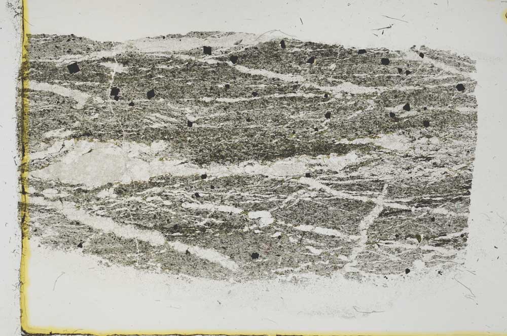 Plane Polarized, S38544